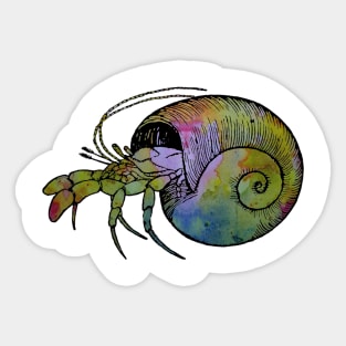 Hermit Crab Sticker